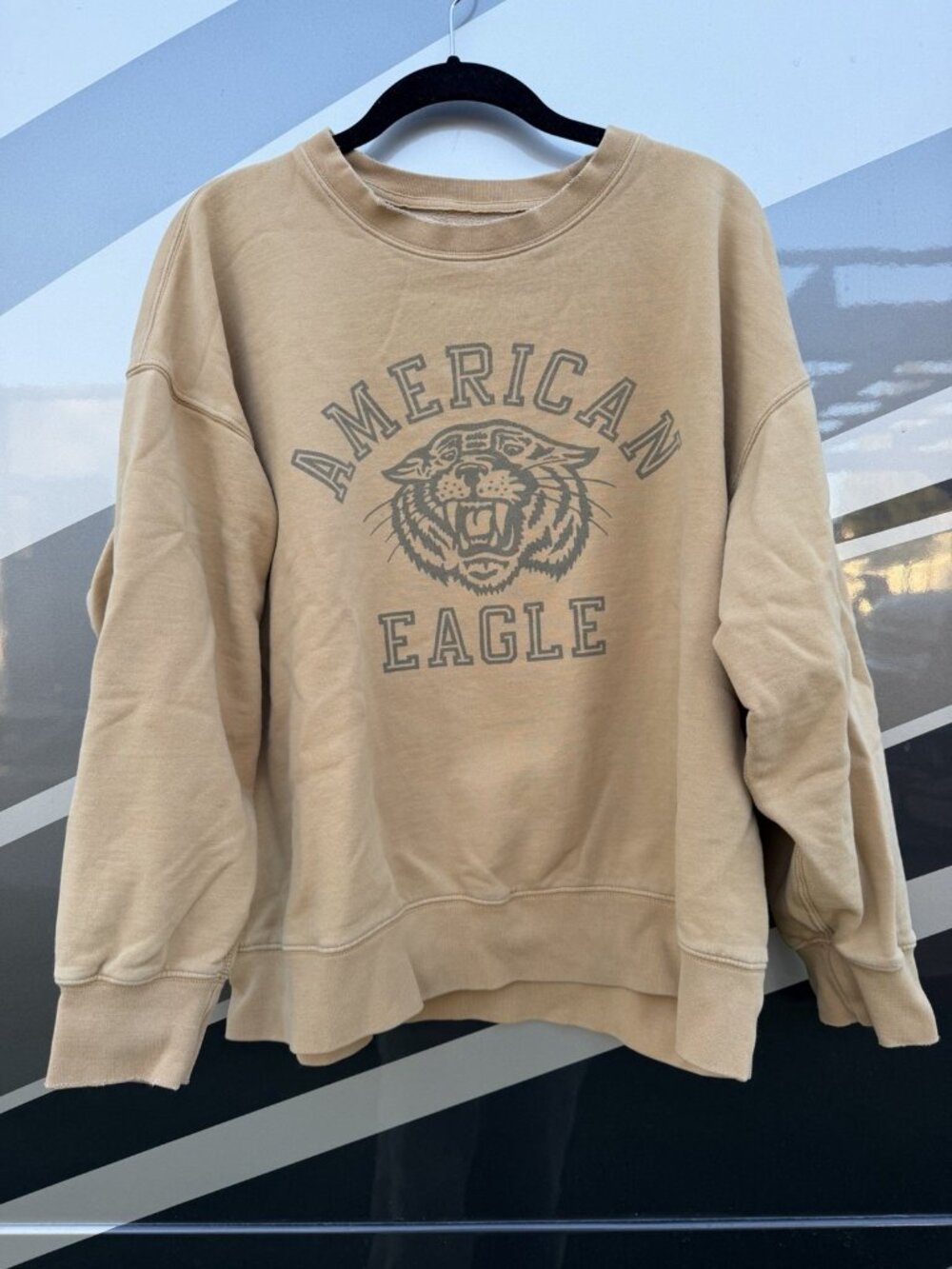 Vintage American Eagle retro tiger graphic tan sweatshirt distressed L boxy